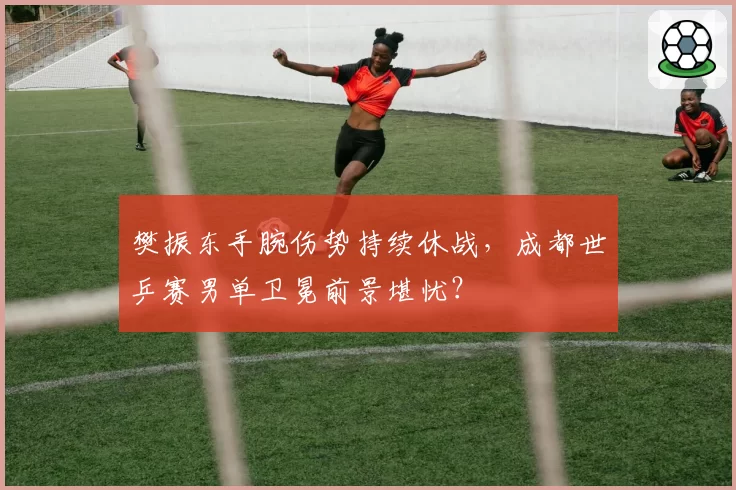 樊振东手腕伤势持续休战,成都世乒赛男单卫冕前景堪忧?