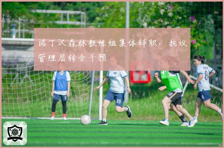 诺丁汉森林教练组集体辞职，抗议管理层转会干预