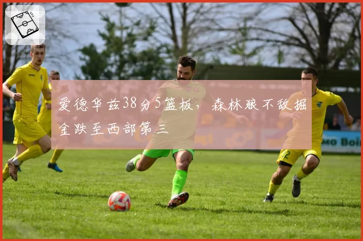 爱德华兹38分5篮板，森林狼不敌掘金跌至西部第三