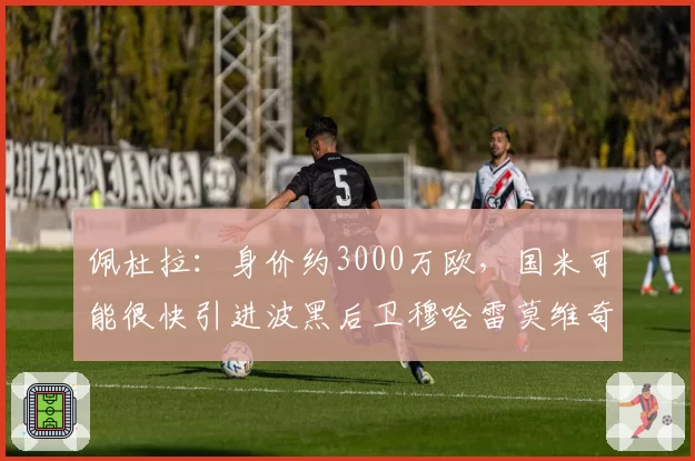 佩杜拉:身价约3000万欧,国米可能很快引进波黑后卫穆哈雷莫维奇