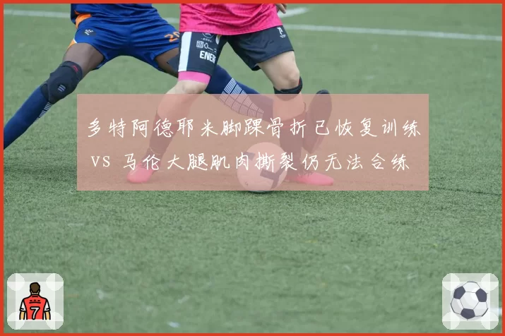 多特阿德耶米脚踝骨折已恢复训练 vs 马伦大腿肌肉撕裂仍无法合练,大黄蜂边锋伤病恢复进度相差六周