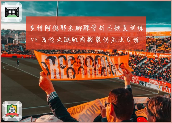 多特阿德耶米脚踝骨折已恢复训练 vs 马伦大腿肌肉撕裂仍无法合练,大黄蜂边锋伤病恢复进度相差六周