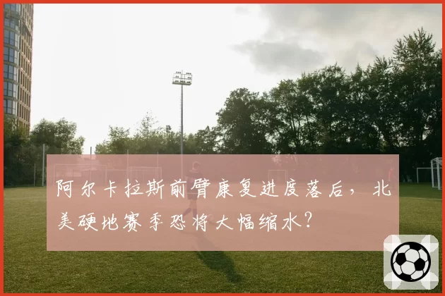阿尔卡拉斯前臂康复进度落后,北美硬地赛季恐将大幅缩水?
